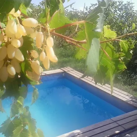Holiday Silenzia * Čilipi