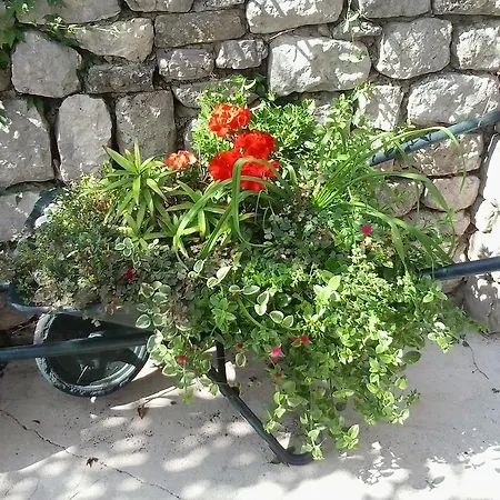 Holiday Silenzia בית נופש