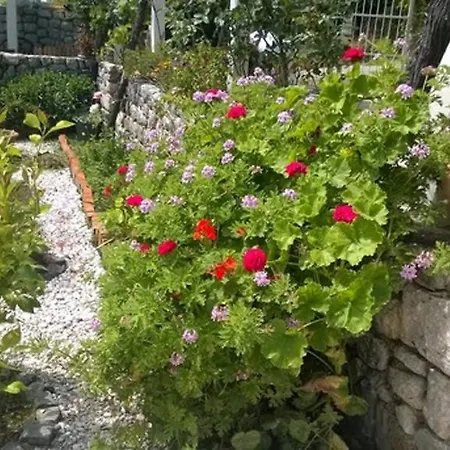 Holiday Silenzia Σπίτι διακοπών Čilipi