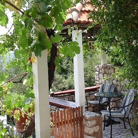 Holiday Silenzia Čilipi