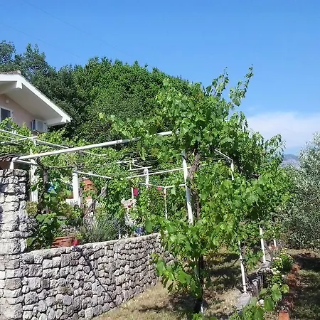 Σπίτι διακοπών Holiday Silenzia *