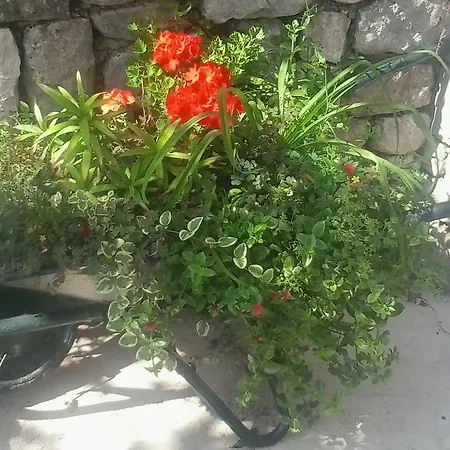 Σπίτι διακοπών Holiday Silenzia *