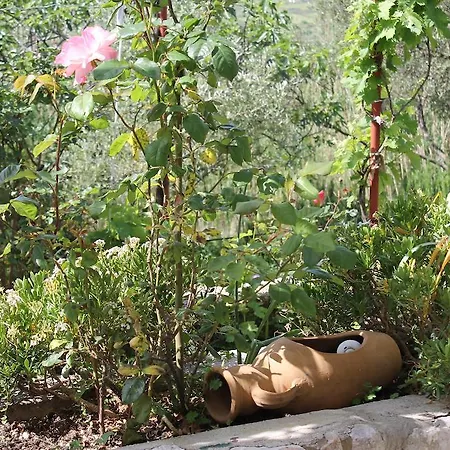 Holiday Silenzia Σπίτι διακοπών *