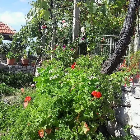 Σπίτι διακοπών Holiday Silenzia Čilipi