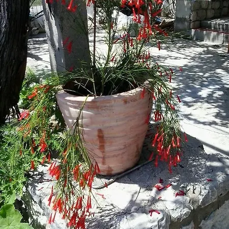 Holiday Silenzia * Čilipi