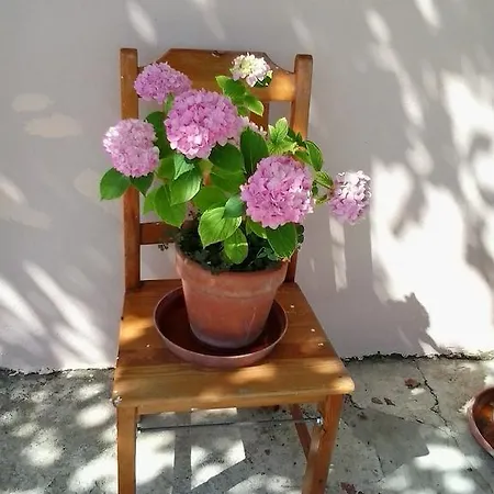Holiday Silenzia Σπίτι διακοπών Čilipi